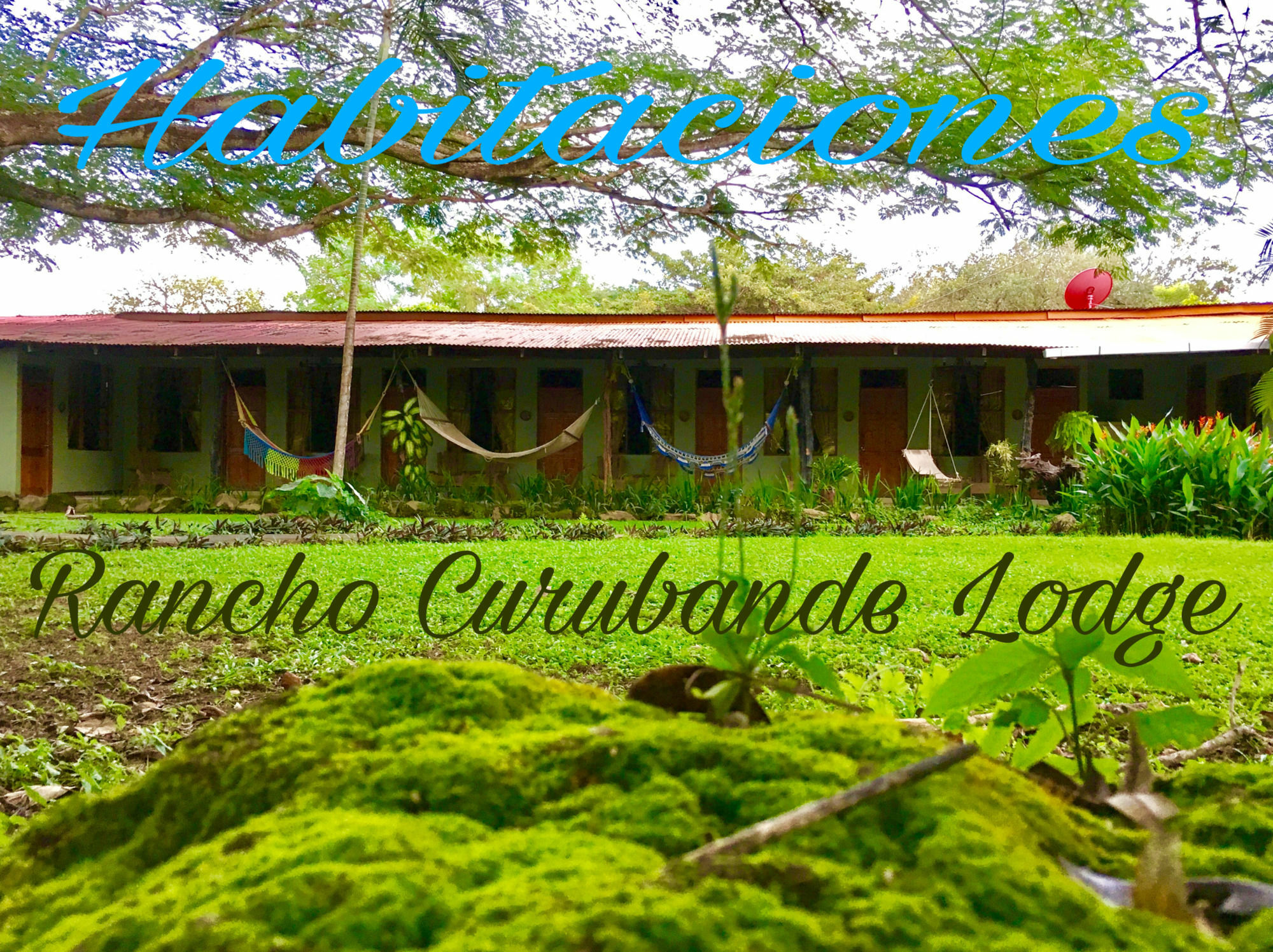 Rancho Curubande Lodge Liberia Ngoại thất bức ảnh