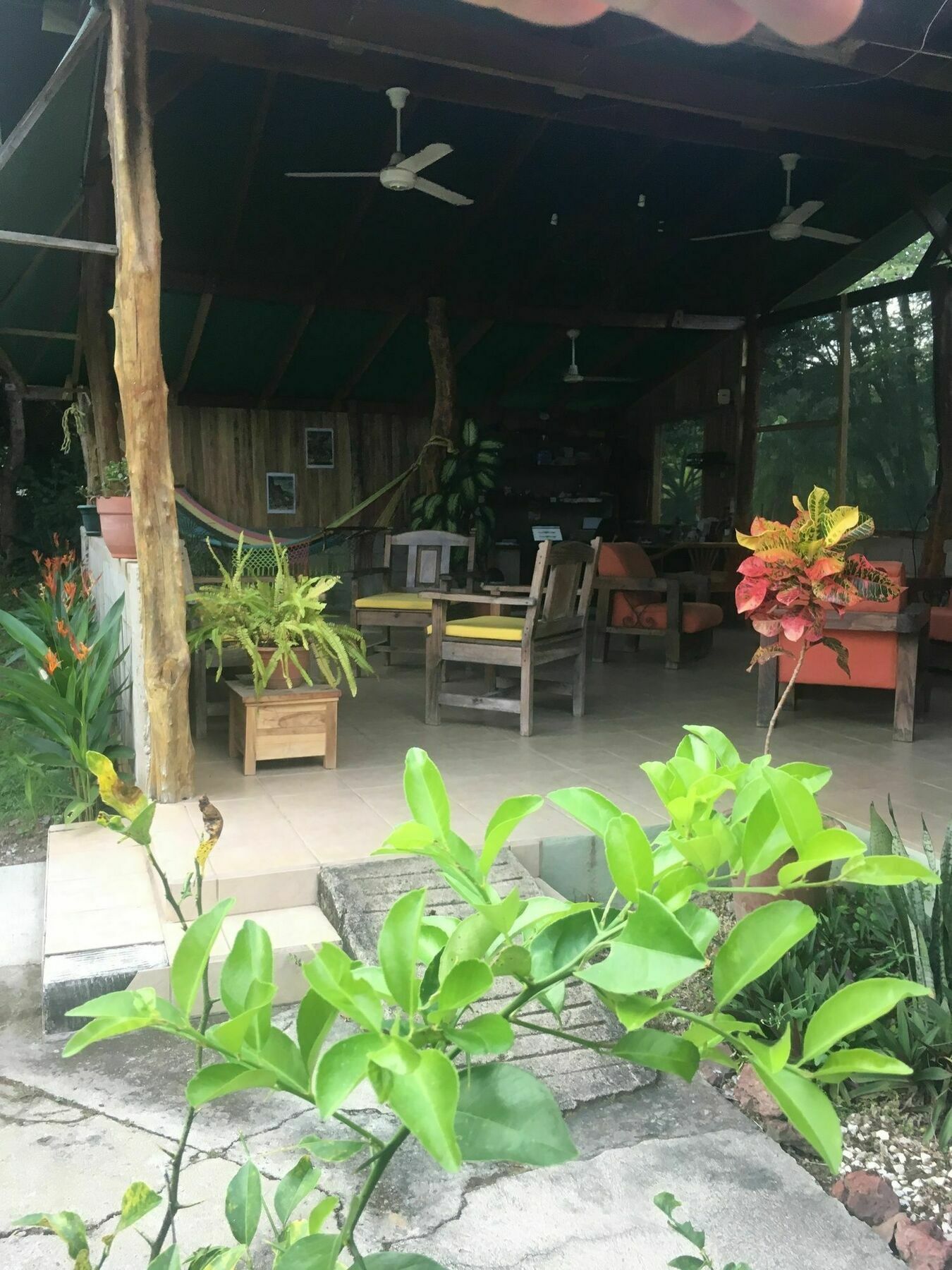 Rancho Curubande Lodge Liberia Ngoại thất bức ảnh