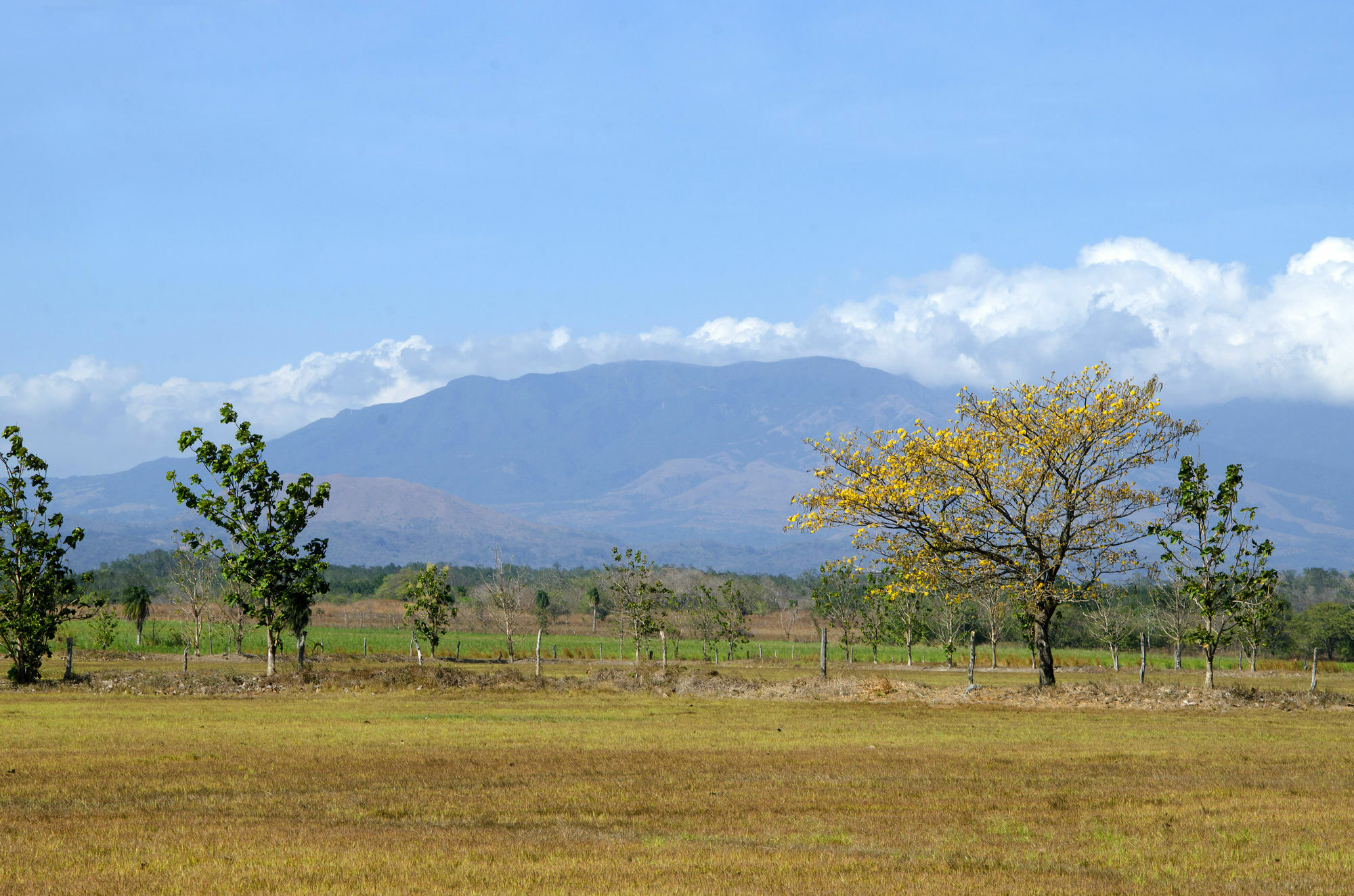 Rancho Curubande Lodge Liberia Ngoại thất bức ảnh